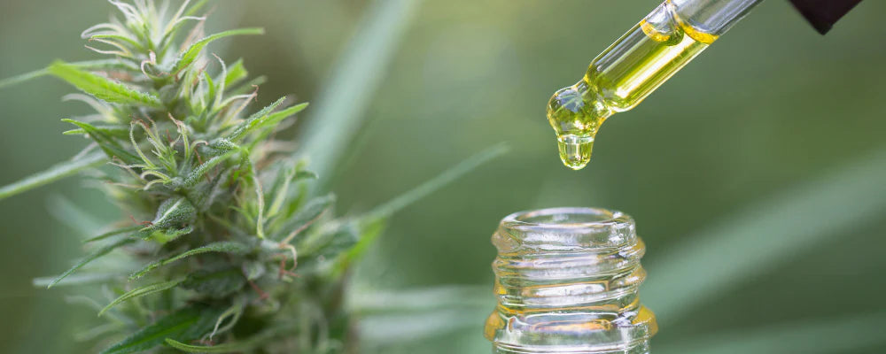 CBD