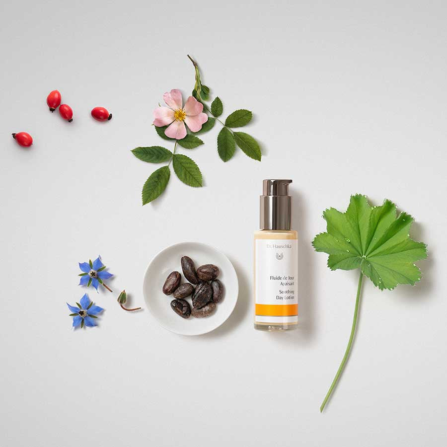 Fluide de jour apaisant - Dr hauschka - Odessence - Beauté naturelle et bio - Institut - Bordeaux