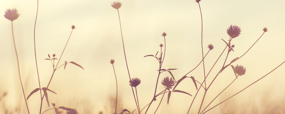 Cadeaux à moins de 30€