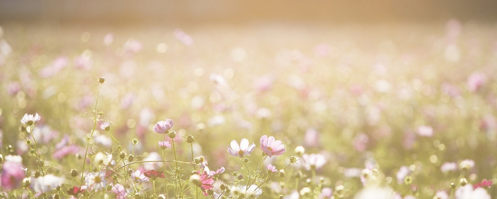 cadeaux entre 30€ et 60€