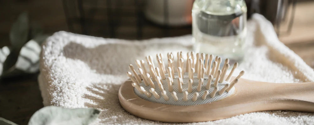 Brosses & Peignes