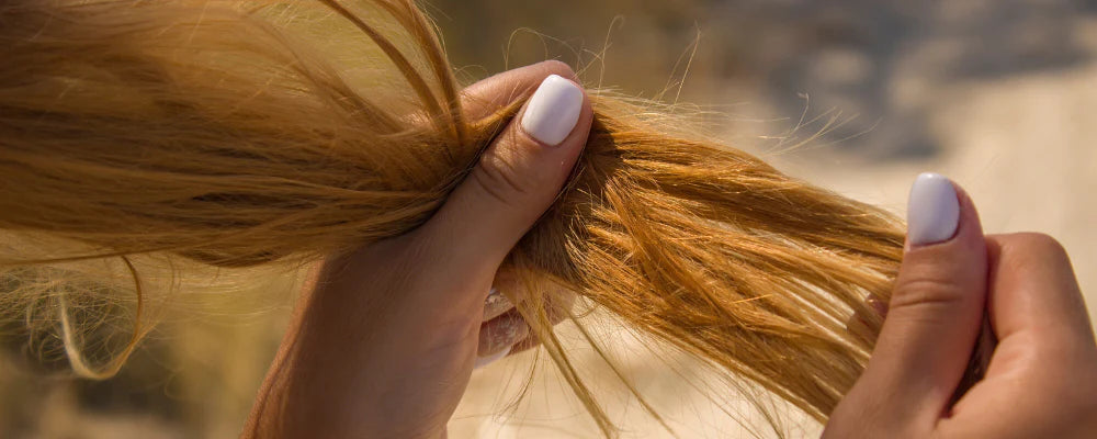 Nourrir les pointes sèches