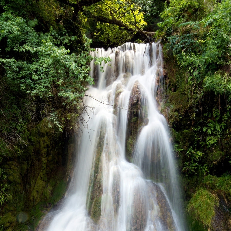 Elixir unitaire n°27 - Eau de roche / Rock water - Les fleurs de bach - Odessence - Beauté naturelle et bio - Bordeaux