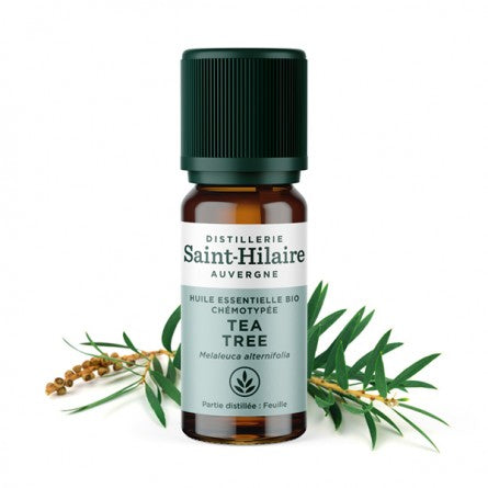 huile essentielle de tea tree - De saint hilaire - Odessence - Beauté naturelle et bio - Institut - Bordeaux