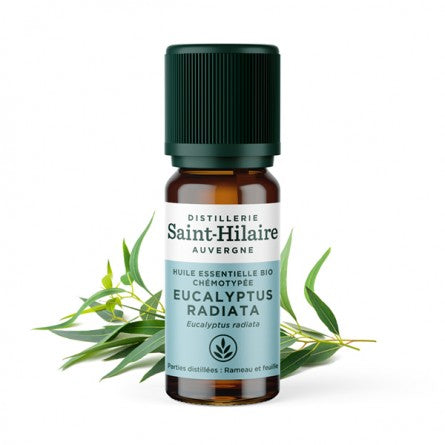 HE Eucalyptus radiata - De saint hilaire - Odessence - Beauté naturelle et Bio - Bordeaux