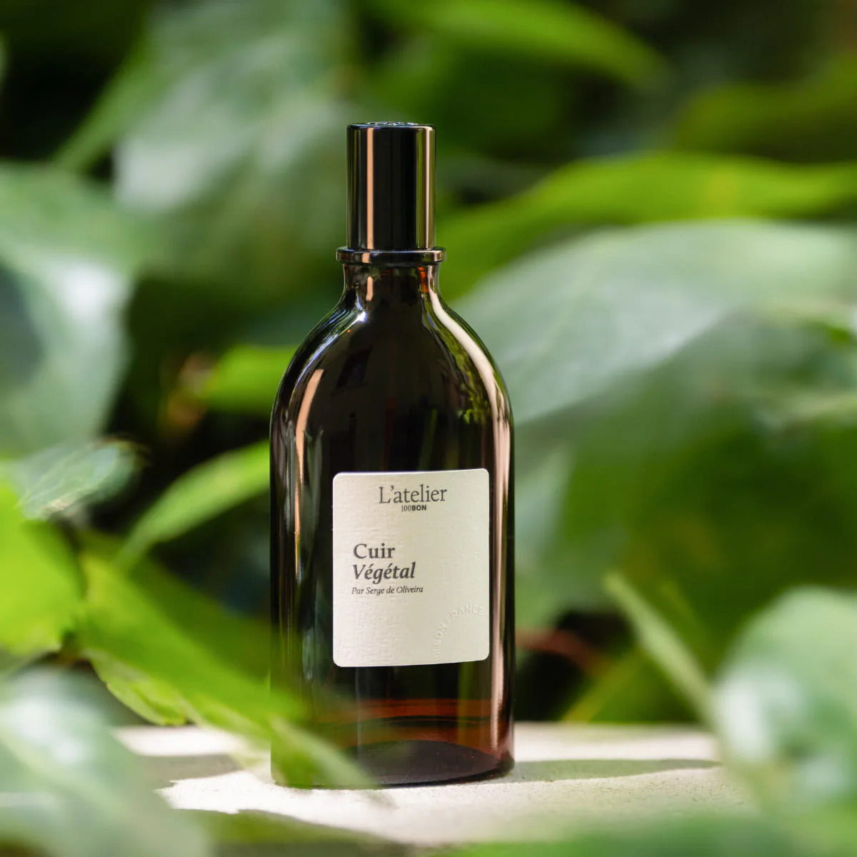 CUIR VEGETAL EDP