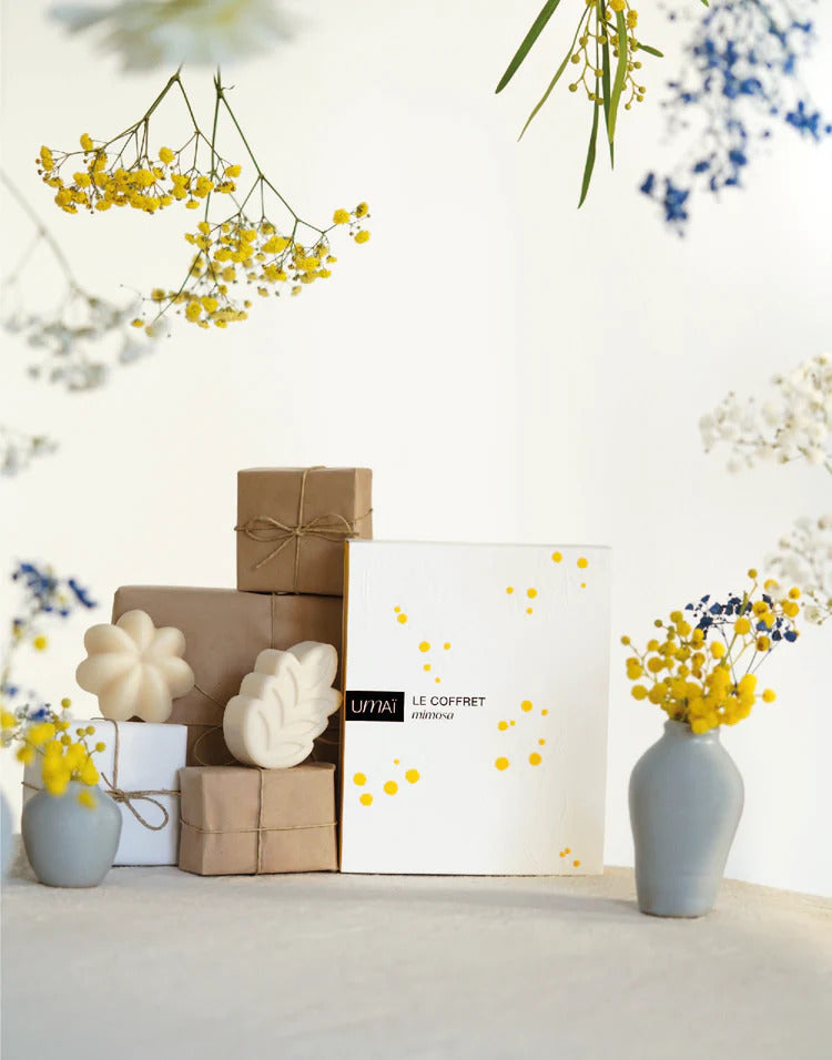 COFFRET MIMOSA